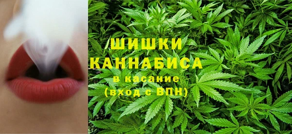 ГАЛЛЮЦИНОГЕННЫЕ ГРИБЫ Гусиноозёрск