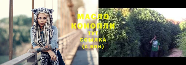 гидропоника Гусь-Хрустальный