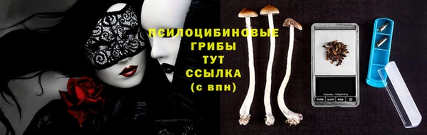 гидропоника Гусь-Хрустальный