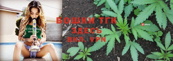 винт Гусев