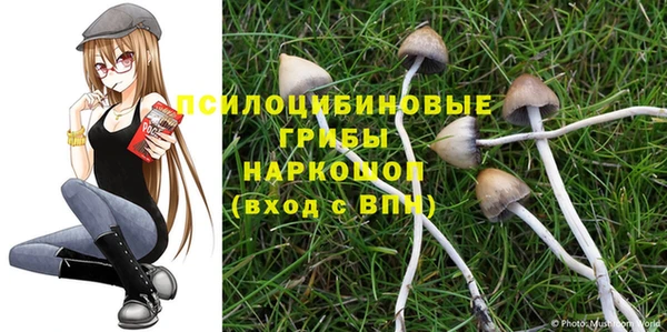 винт Гусев