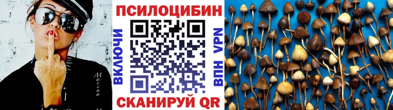 Псилоцибиновые грибы Cubensis  Купить где  Кологрив 